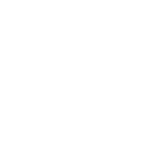 BBQ cuisson