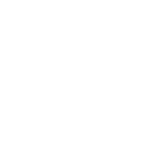 BBQ-cuisson.png